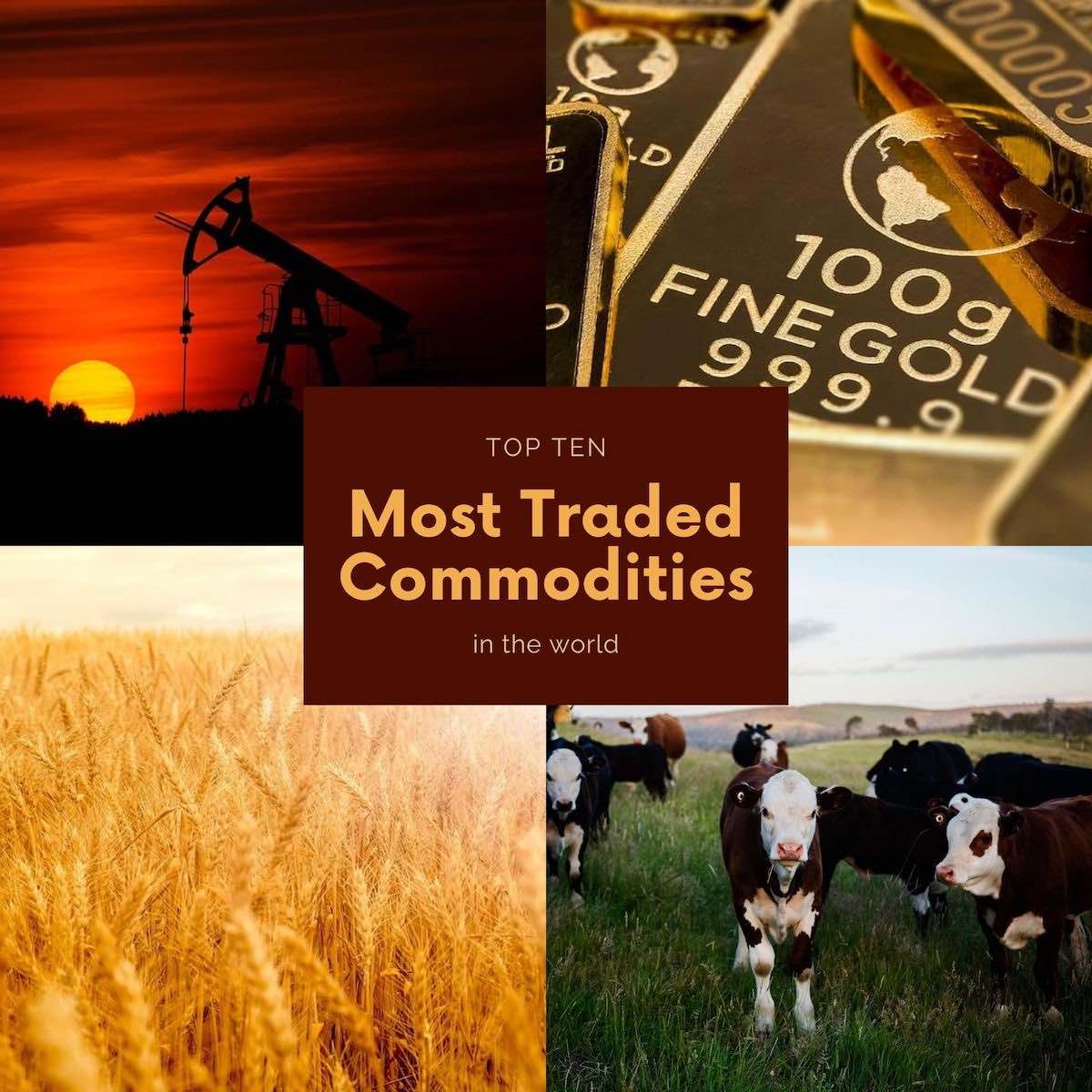 Top 10 most traded commodities in the world - canopusinnovation.com